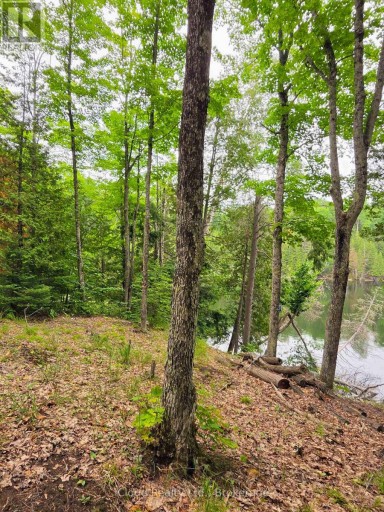 130A FINNEGAN LANE, Wollaston, Ontario, K0L1P0