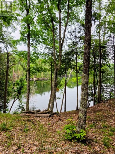 130A FINNEGAN LANE, Wollaston, Ontario, K0L1P0