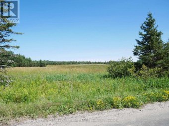 107 MILLER ROAD Magnetawan Ontario photo 10