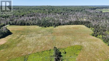 107 MILLER ROAD Magnetawan Ontario photo 15