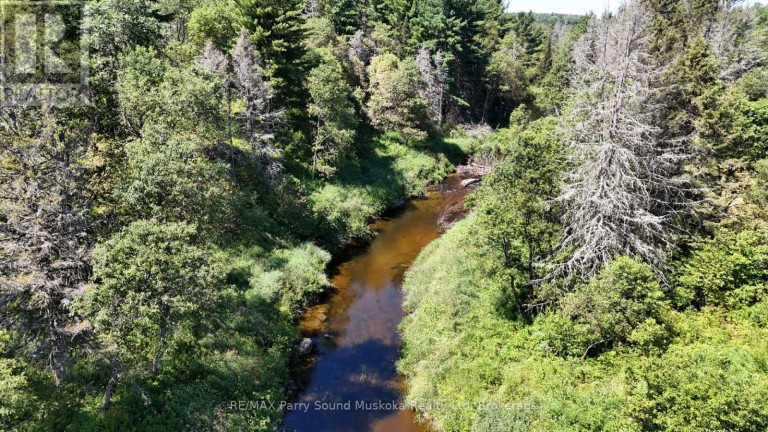 107 MILLER ROAD, Magnetawan, Ontario, P0A1Z0