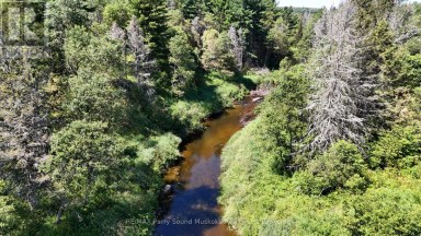 107 MILLER ROAD Magnetawan Ontario photo 22