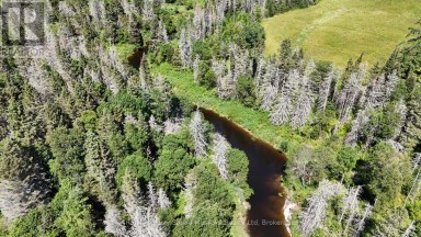 107 MILLER ROAD Magnetawan Ontario photo 28