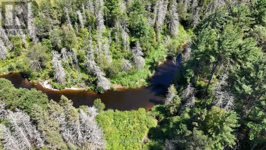 107 MILLER ROAD Magnetawan Ontario photo 29