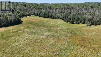 107 MILLER ROAD Magnetawan Ontario photo 31