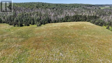 107 MILLER ROAD Magnetawan Ontario photo 32
