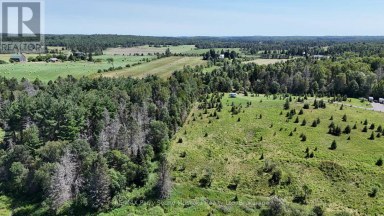 107 MILLER ROAD Magnetawan Ontario photo 33
