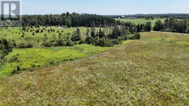 107 MILLER ROAD Magnetawan Ontario photo 34