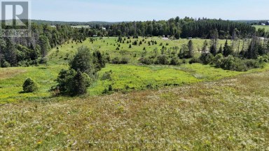 107 MILLER ROAD Magnetawan Ontario photo 35