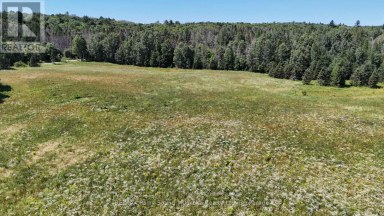 107 MILLER ROAD Magnetawan Ontario photo 38