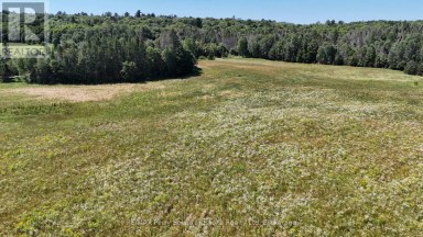 107 MILLER ROAD Magnetawan Ontario photo 39