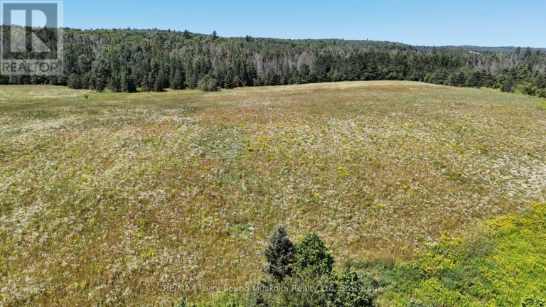 107 MILLER ROAD, Magnetawan, Ontario, P0A1Z0