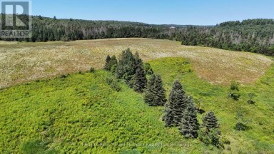 107 MILLER ROAD Magnetawan Ontario photo 41