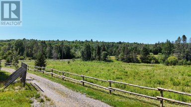 107 MILLER ROAD Magnetawan Ontario photo 46