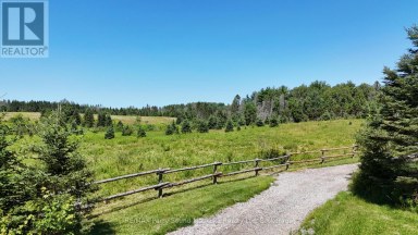 107 MILLER ROAD Magnetawan Ontario photo 47