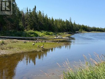 17 BAY SHORE AVE. N. AVENUE Northern Bruce Peninsula Ontario photo 5