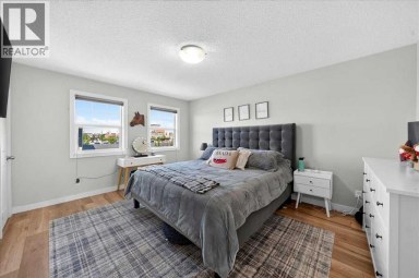251 Hillcrest Circle SW Airdrie Alberta photo 13