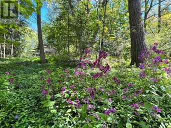 58 CEDARLANE DRIVE Wasaga Beach Ontario photo 37