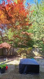 BSMT - 30 WOOD RIM DRIVE Richmond Hill (Oak Ridges Lake Wilcox) Ontario photo 11