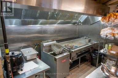 1205 QUEEN STREET W Toronto (South Parkdale) Ontario photo 20