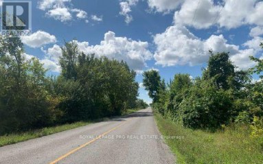 9858 NICHOLS LANE Niagara Falls (Forestview) Ontario photo 3