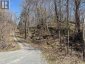 LOT 0 CENTRE PARCEL SWEETFERN LANE, Frontenac (frontenac South), Ontario, K0H1H0 (ID X13626568)