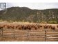 44813 Highway 99 N, Cache Creek, British Columbia, V0K1V0 (ID 10396611)