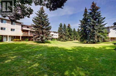 37, 3015 51 Street SW Calgary Alberta photo 29