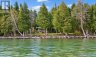 B40440 SHORE ROAD, Brock, Ontario, L0K1A0 (ID N13628552)
