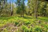 B40440 SHORE ROAD, Brock, Ontario, L0K1A0 (ID N13628552)