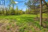 B40440 SHORE ROAD, Brock, Ontario, L0K1A0 (ID N13628552)