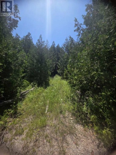 N/A GOVERNMENT RD ACRES W, Tehkummah, Ontario, P0P2C0