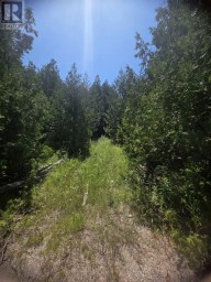 N/A GOVERNMENT RD ACRES W Tehkummah Ontario photo 1