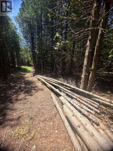 N/A GOVERNMENT RD ACRES W, Tehkummah, Ontario, P0P2C0