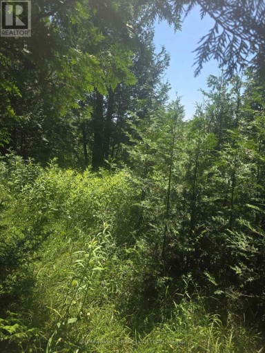 N/A GOVERNMENT RD ACRES W, Tehkummah, Ontario, P0P2C0