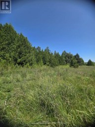 N/A GOVERNMENT RD ACRES W Tehkummah Ontario photo 7