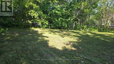 192 WATER STREET Lucan Biddulph (Lucan) Ontario photo 4