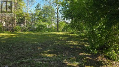 192 WATER STREET Lucan Biddulph (Lucan) Ontario photo 6