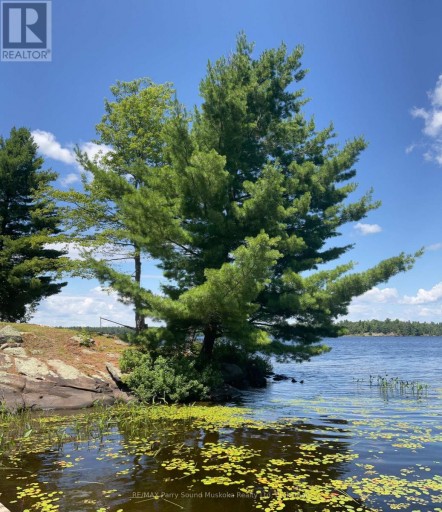 216 LONE TREE ROAD, Parry Sound Remote Area (Hardy), Ontario, P0H1S0