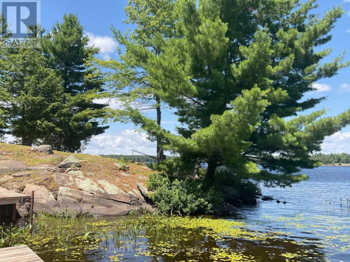 216 LONE TREE ROAD, Parry Sound Remote Area (Hardy), Ontario, P0H1S0