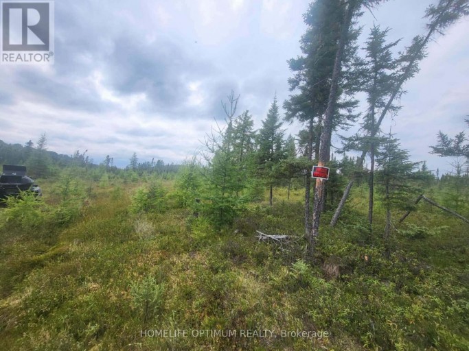 PCL 9194 REVELL TOWNSHIP, Kenora, Ontario, P0V1P0