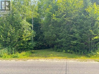 50 SUNRISE DRIVE Kearney Ontario photo 2