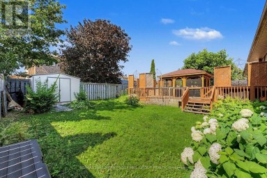 LOWER - 148 LIVINGSTONE STREET E Barrie (East Bayfield) Ontario photo 11
