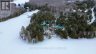 1956 SMITH ROAD, Frontenac (frontenac North), Ontario, K0H1C0 (ID X13635008)