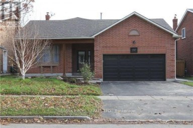 LOWER - 197 LANCASTER AVENUE Newmarket (Bristol-London) Ontario photo 1