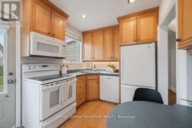 124 HOMEWOOD AVENUE Toronto (Newtonbrook West) Ontario photo 12