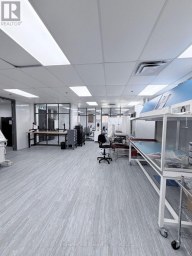 MAIN FLOOR - 139 MULOCK AVENUE Toronto (Junction Area) Ontario photo 5