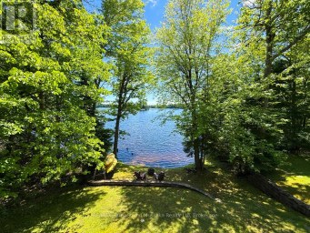 17 LIZZIE'S LANE McKellar Ontario photo 22