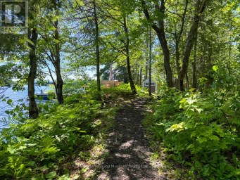 17 LIZZIE'S LANE McKellar Ontario photo 23