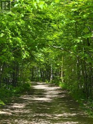 17 LIZZIE'S LANE McKellar Ontario photo 35